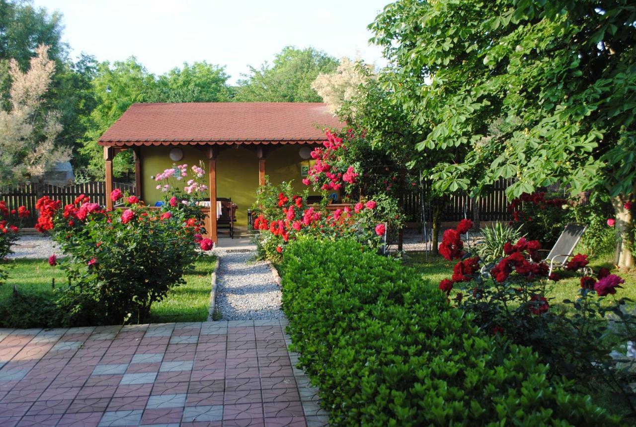 Vila Delta Travel - Mila 23 Міла Доужечі-сі-Трей Екстер'єр фото